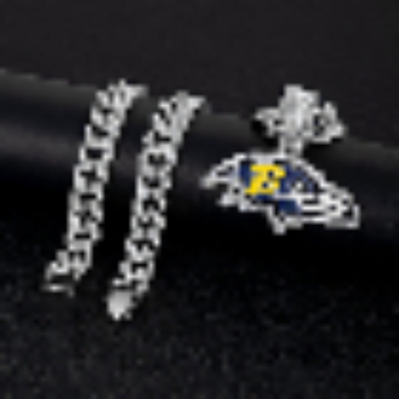 🔥 LAST DAY: Up to 63% OFF – Team Pride Gem Chain Necklace